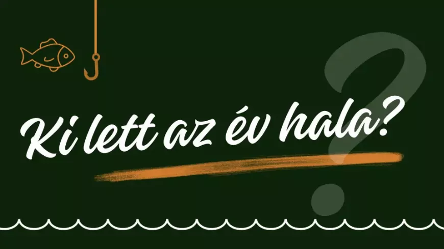 Ki lett az év hala 2024-ben?